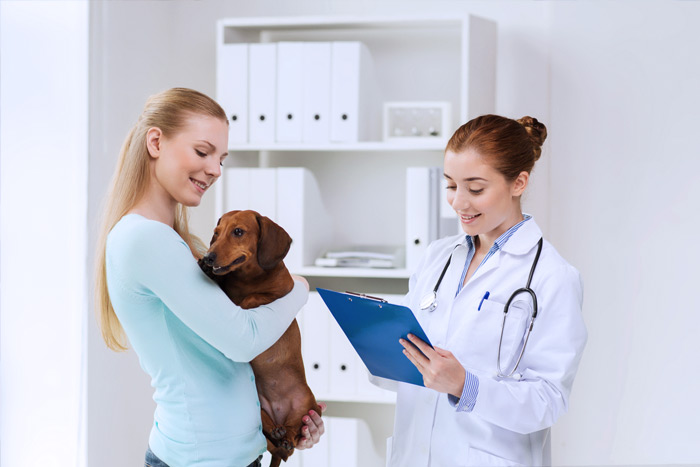 ЭЦП для оформления ветеринарных сертификатов (ГИС Меркурий) в Майкопе